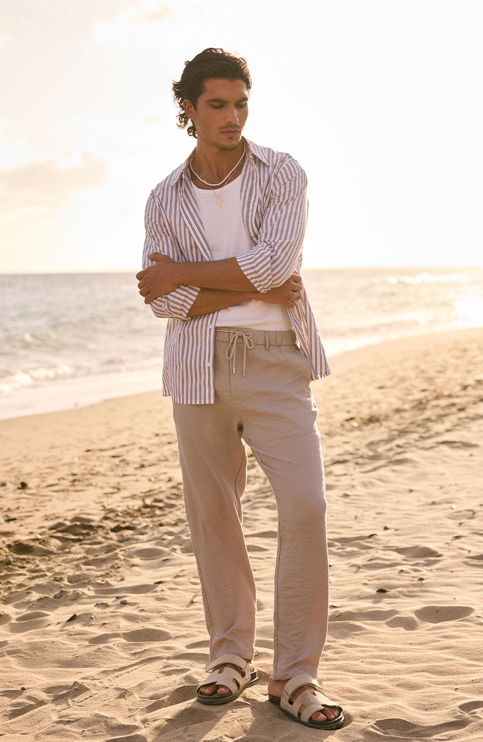 Portofino Poplin Long Sleeve Stretch Shirt in Brown