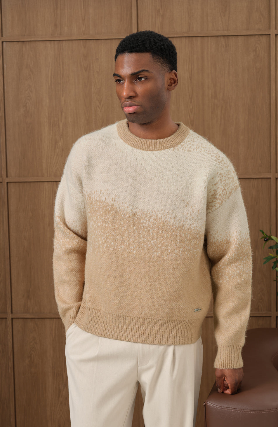 Salvador Ombre Knit Sweater in Beige